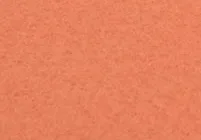 Imagem de amostra